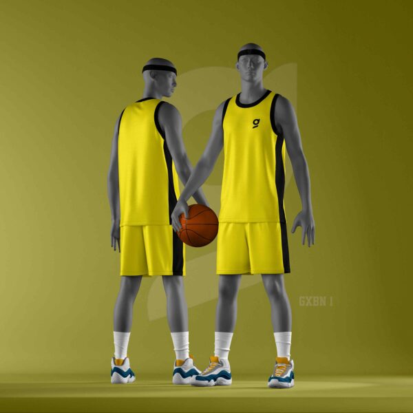 BIBS GXBN1